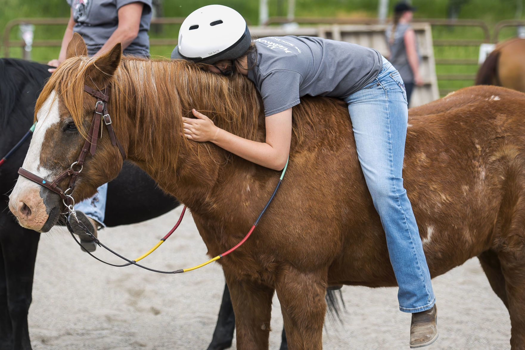 Horse Warriors Family Fun Day